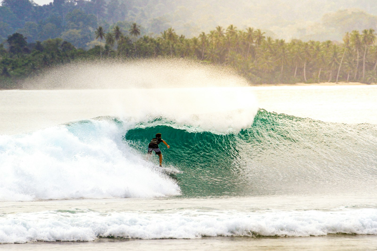 Surfer riding a powerful tropical wave in the Mentawai Islands