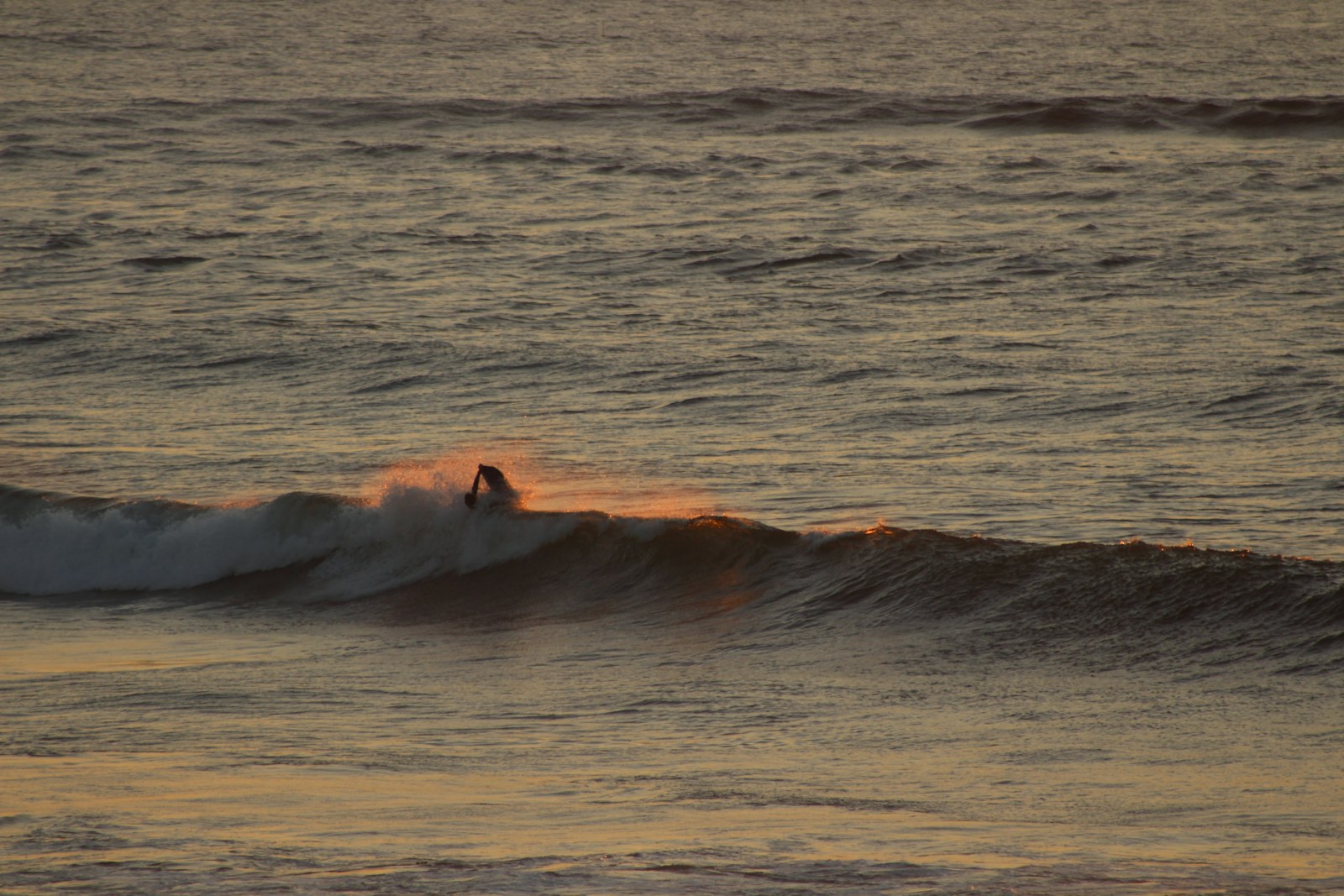 Surfer riding a wave at Ericeira, Portugal